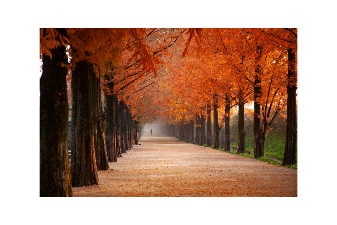 HERBSTZAUBER